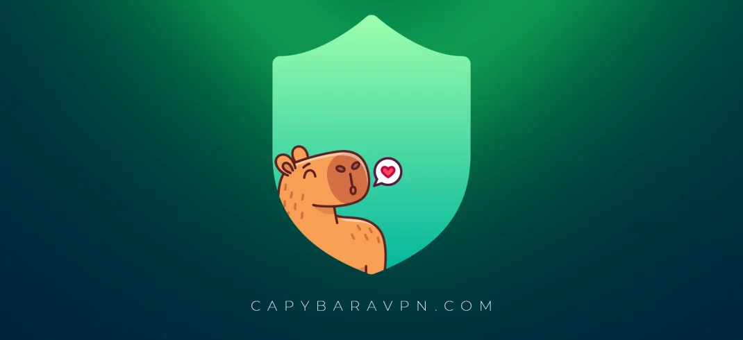 Протокол vlcapy